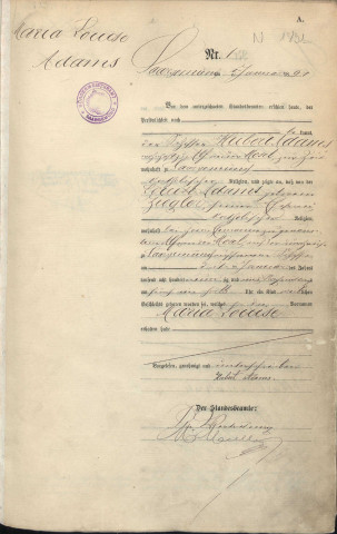 Registre des naissances 1891