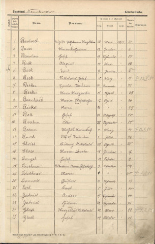 Registre des naissances 1904-1905