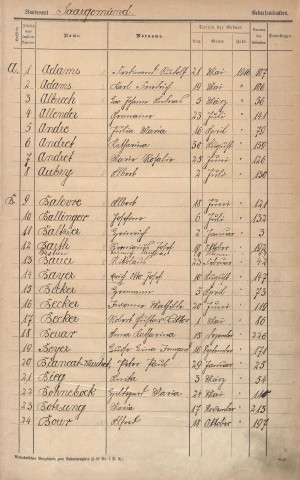Registre des naissances 1916