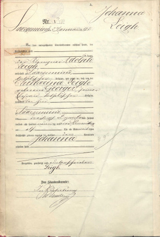 Registre des naissances 1895
