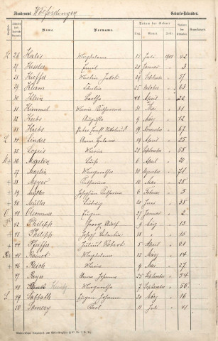 Registre des naissances 1901