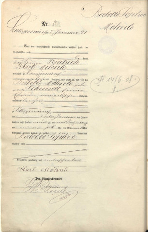 Registre des naissances 1891