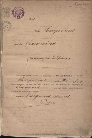 Registre des naissances 1874