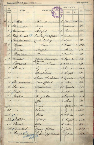 Registre des naissances 1896