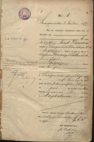 Registre des naissances 1877