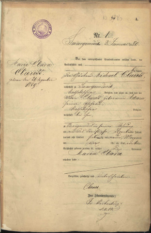 Registre des naissances 1880