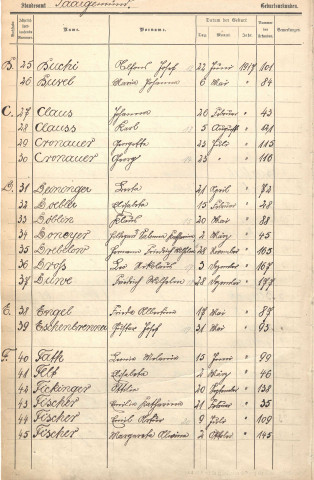 Registre des naissances 1917