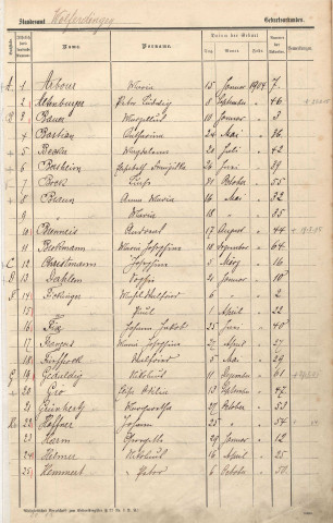 Registre des naissances 1904