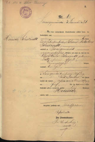 Registre des naissances 1881