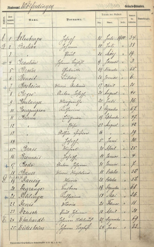 Registre des naissances 1900