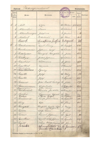 Registre des naissances 1913