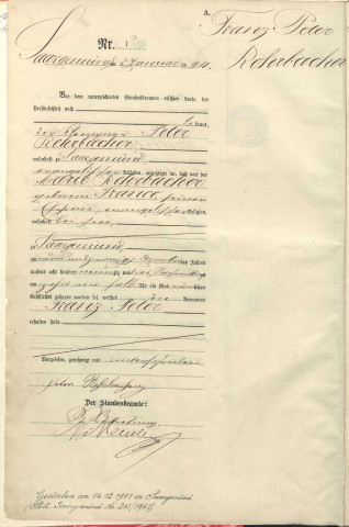 Registre des naissances 1894